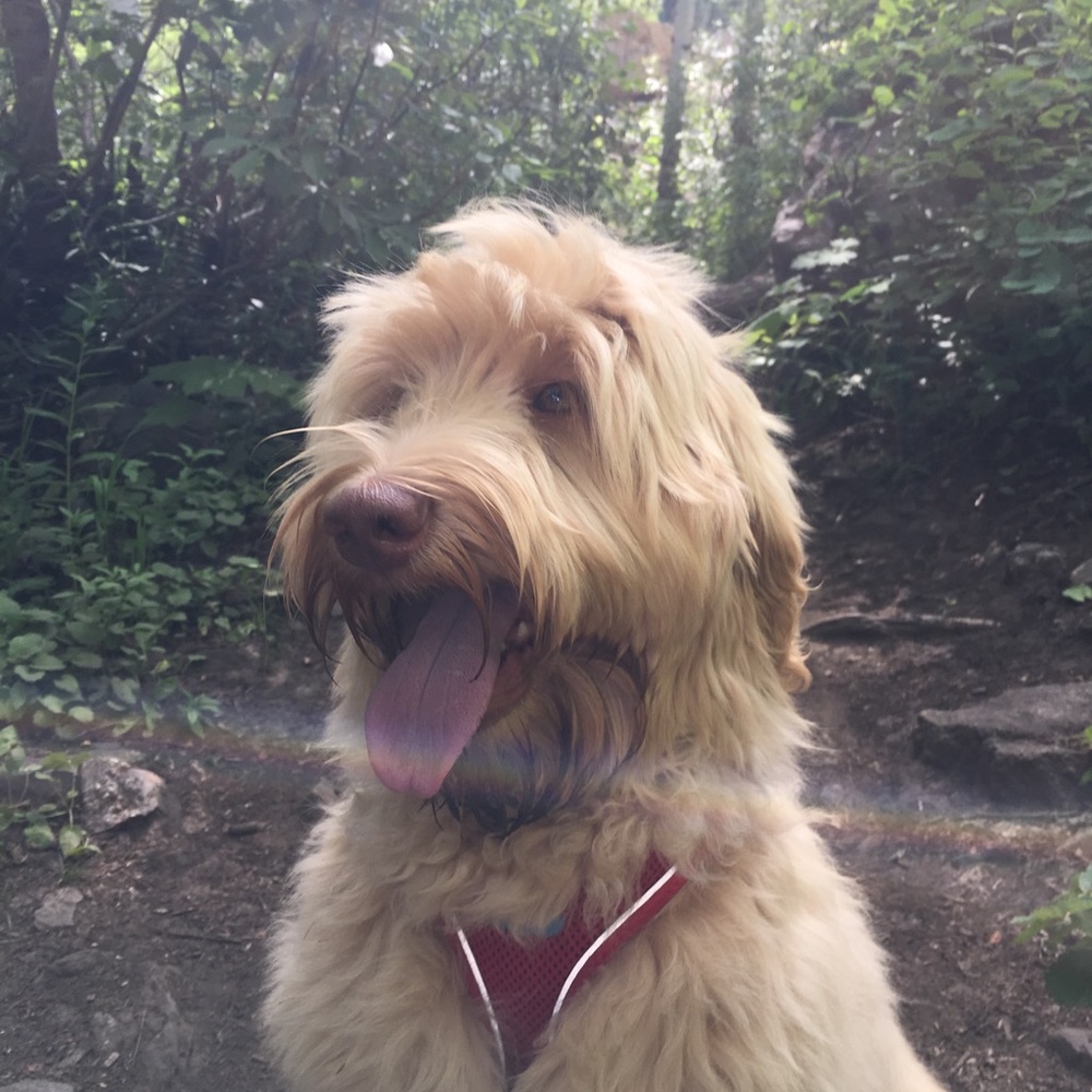 Meet your Posher, Caroline